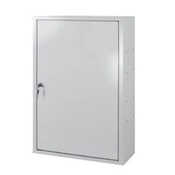 Billig 🎉 ADB Wandschrank, 1-türig, 50 X 75 Cm (B X H), Mit Höhenverstellbarem Fachboden, Farbe:Lichtgrau (RAL 7035) 🔥